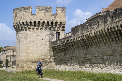 France, Vaucluse (84), Avignon, les remparts sur les bords du Rhône