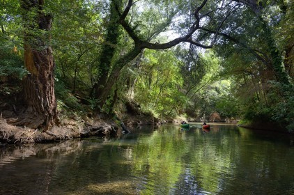 France, Var, Provence Verte, canoeing on the river Argens between Carces and Le Thoronet