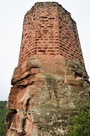 France, Bas Rhin, Northern Vosges Regional Natural Park, Niedersteinbach, Steinbach national forest, Wasigenstein Castle ruins