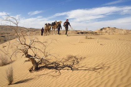 Iran, Isfahan province, Dasht-e Kavir desert, Mesr in Khur and Biabanak County, camel trek