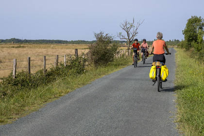 France, Charente-Maritime (17), Saint-Laurent-de-la-Prée, piste cyclable de la Vélodyssée et de la Flow vélo