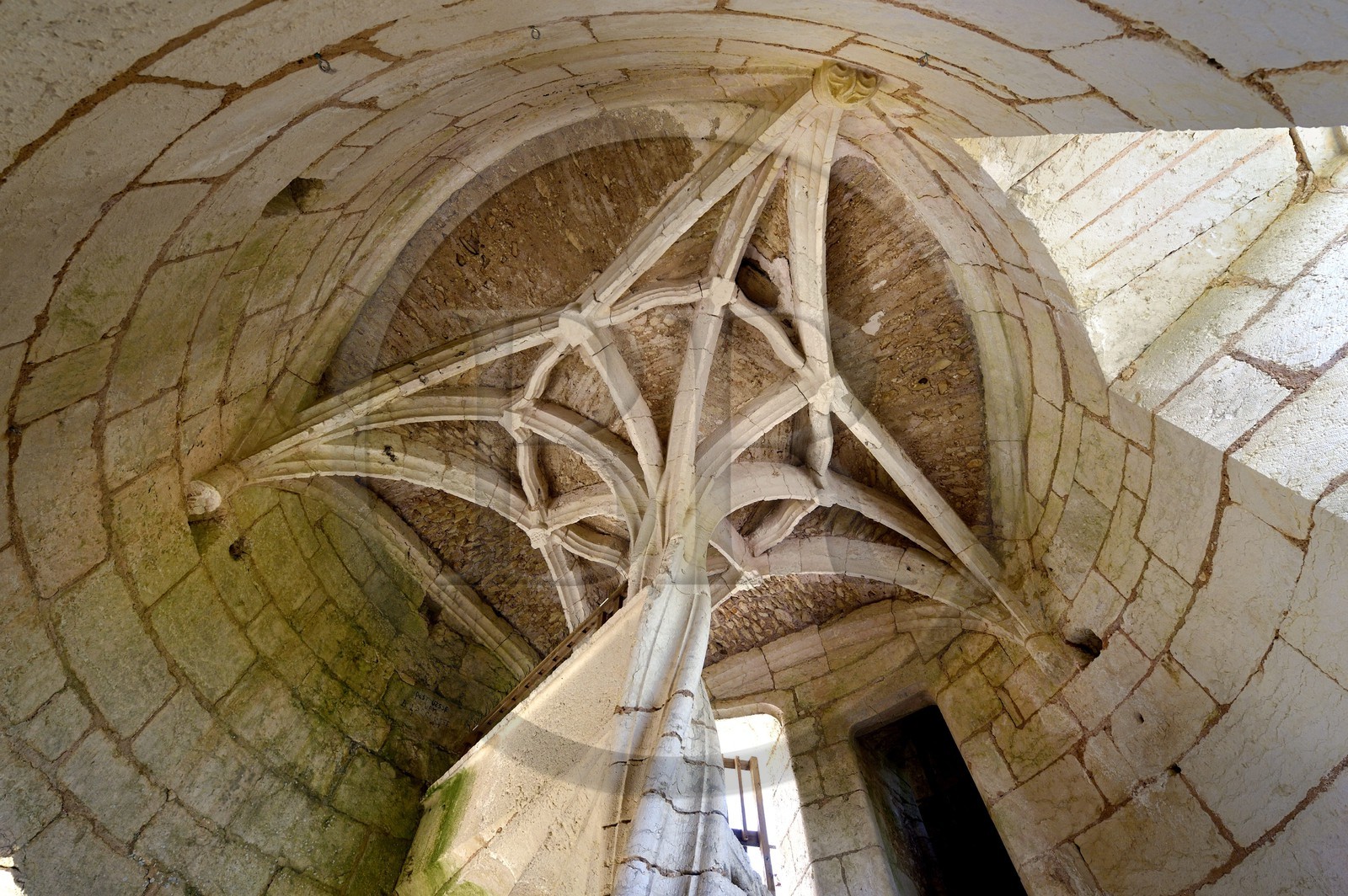 France, Dordogne (24), Rouffignac-Saint-Cernin-de-Reilhac, chateau de l'Herm, l'escalier en vis torsadée aboutissant à un palmier de pierre
