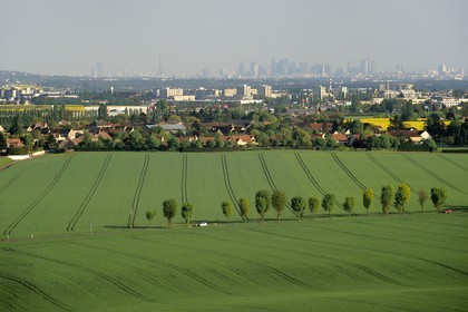 France, Val-d'Oise (95), champs avec Paris et la Défense en arrière plan (vue aérienne)