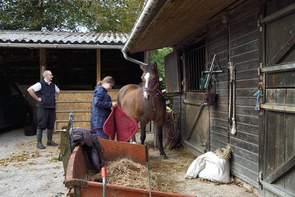 France, Calvados, Pays d'Auge, La Roque Baignard, stable of Franz and Claire Gerl