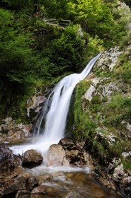 Allemagne, Forêt Noire, Schwartzwald, Bade-Würtemberg, les chutes du couvent Allerheiligen (Tous les saints)