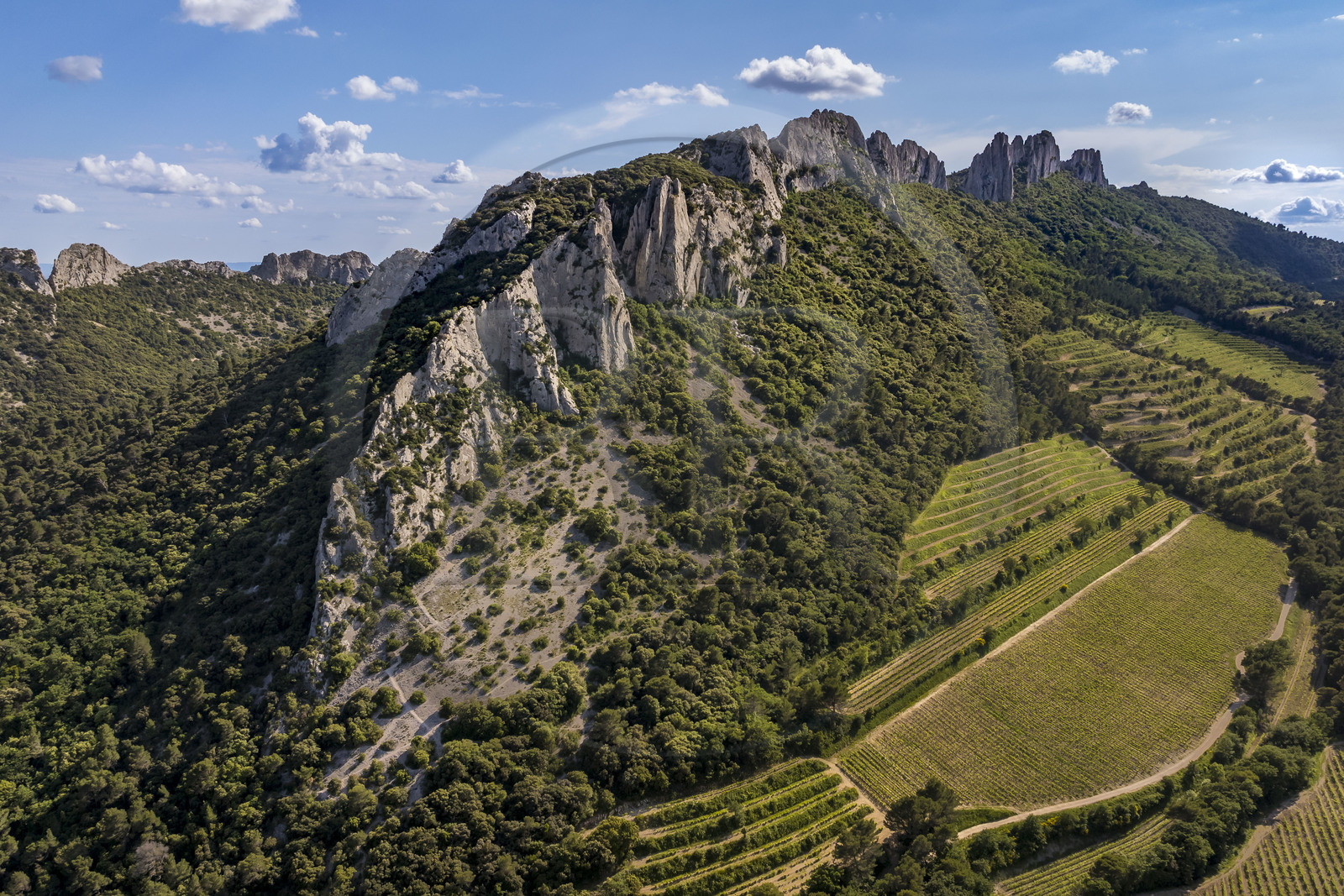 France, Vaucluse (84), Dentelles de Montmirail, la montagne des Dentelles Sarrasines et des vignobles en restanques, le Grand Montmirail en arrière plan à gauche (vue aérienne)