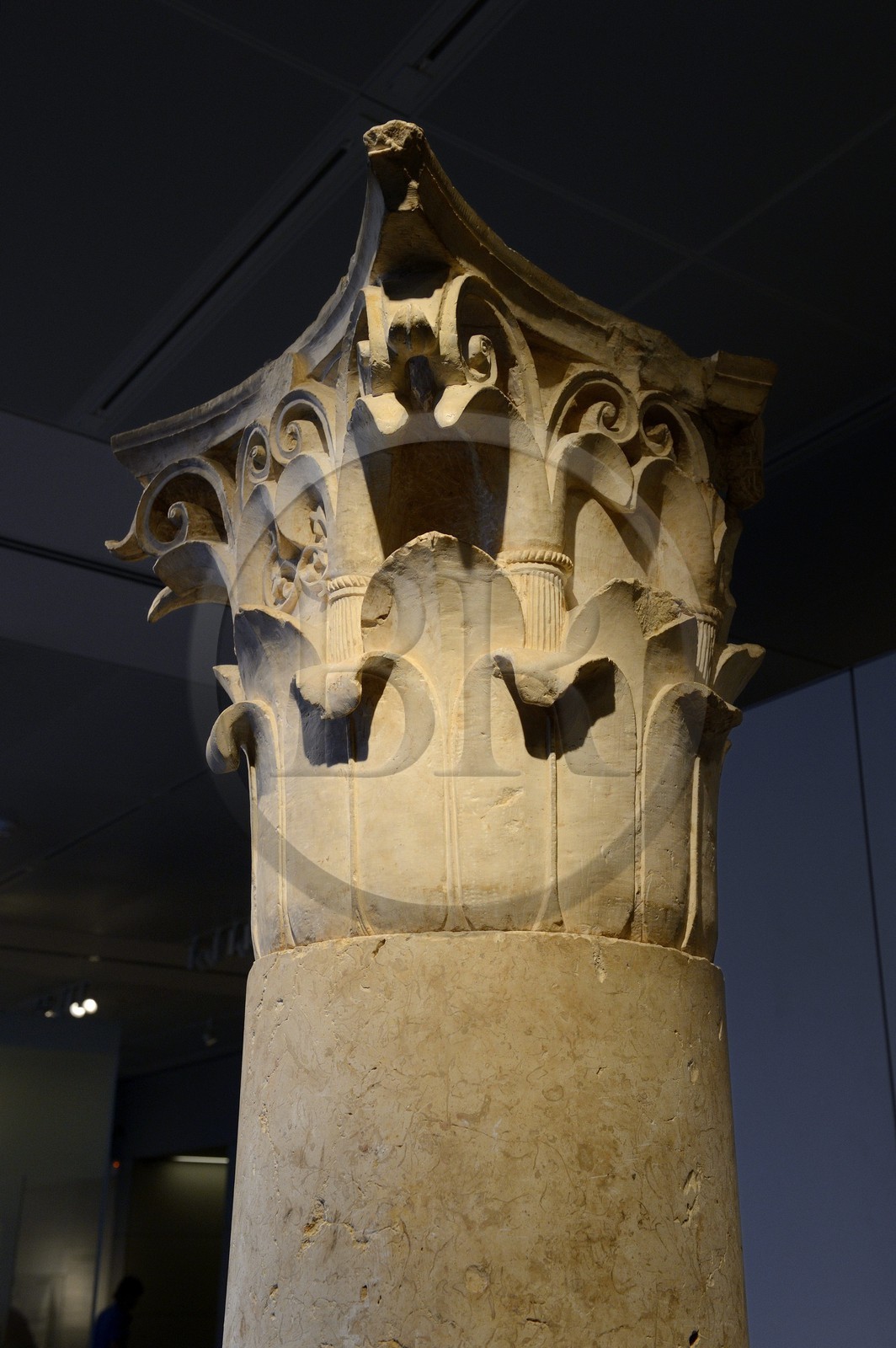 Israel, Jerusalem, Guivat Ram quarter, Israel Museum, department of archeology, corinthian capital from 1 century BCE