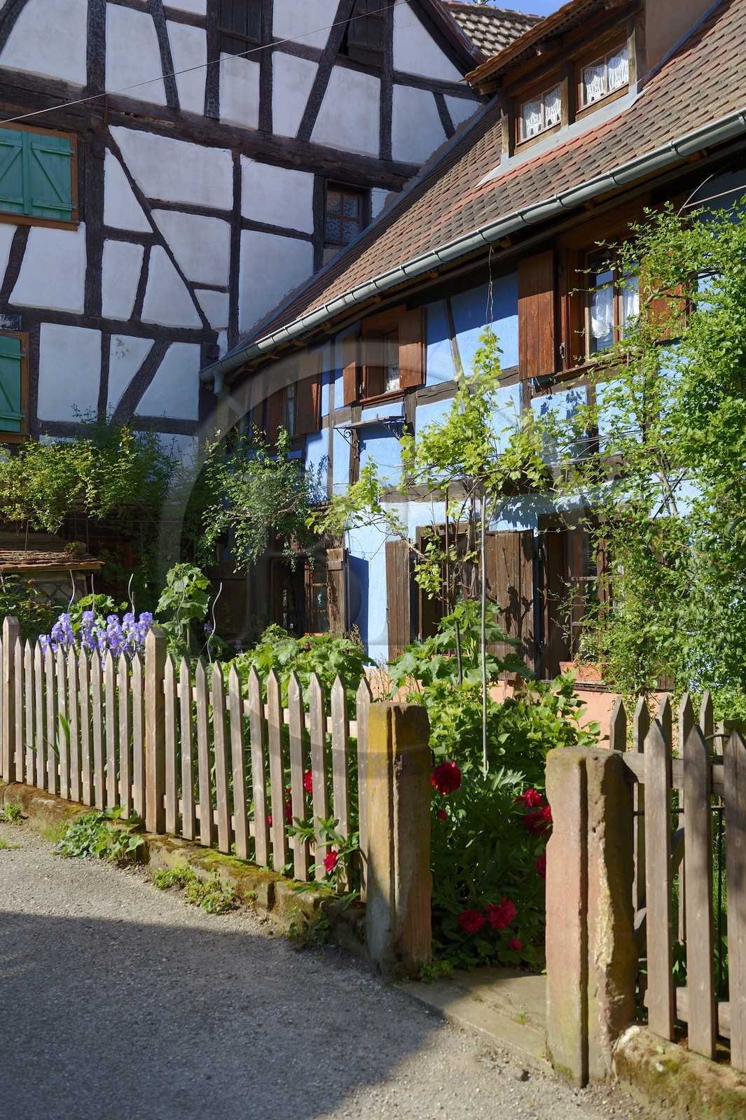 France, Bas-Rhin (67), Bouxwiller, maison à pans de bois dans la rue des Juifs