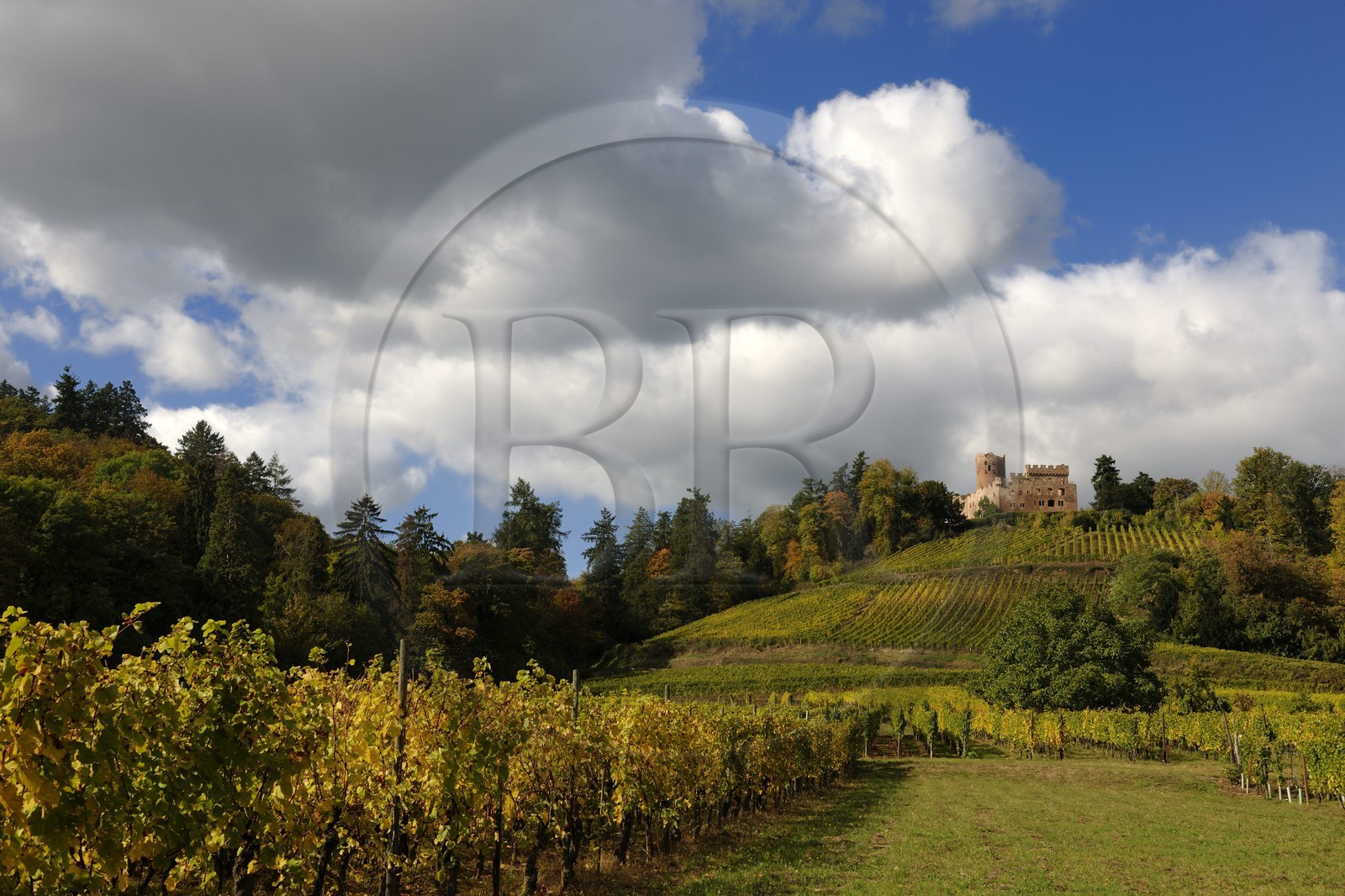 France, Bas-Rhin (67), château de Kintzheim et son vignoble