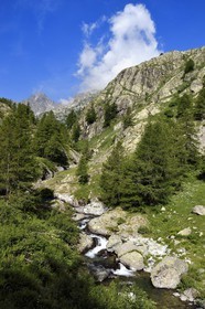 France, Alpes-Maritimes, parc national du Mercantour (Mercantour National Park), Valmasque river valley and peaks of high Valmasque