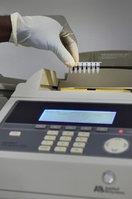 Namibia, Otjiwarongo, Cheetah Conservation Fund, research and education centre, Life Technologies Conservation Genetics Laboratory, PCR machine which amplifies DNA