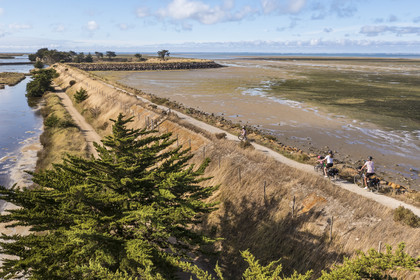 France, Vendée (85), île de Noirmoutier, Barbatre, cyclistes sur la digue de la côte Est à marrée basse (vue aérienne)