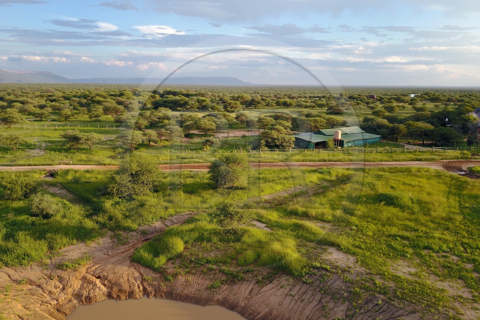 Namibie, Otjiwarongo, le bush autour du Cheetah Conservation Fund (vue a