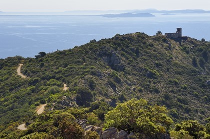 France, Var, La Seyne sur Mer, hike in the Cap Sicie massif towards Notre-Dame du Mai chapel, the old semaphore of the cape, the peninsula of Giens and the islands of Hyères in the background
