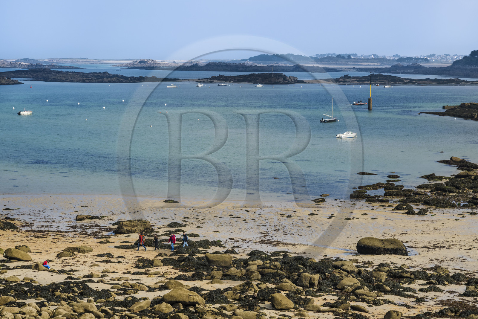 France, Cotes-d'Armor, Cote de Granit Rose, Trébeurden, Millau island, the island is only accessible on foot and at low tide from the Pointe du Castel