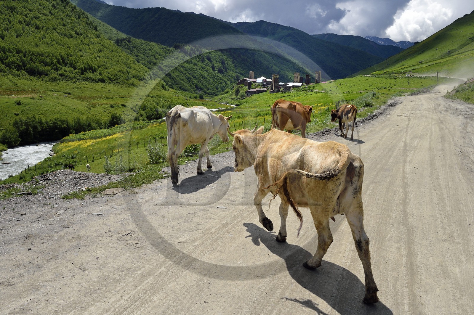 Géorgie, Haute Svanétie (Zemo Svaneti), village de Ushguli, classé Patrimoine Mondial de l'UNESCO, tours défensives Svanes dressées à coté des maisons du hameau de Murkmeli