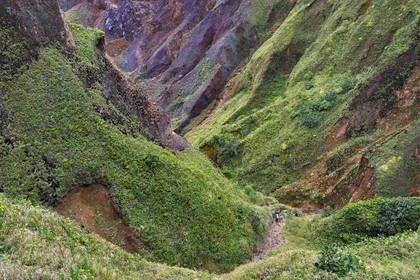 Caribbean, Dominica Island, Castle Bruce, Morne Trois Pitons National Park listed as World heritage by UNESCO, Valley of Desolation, hike on the trail to Boiling Lake