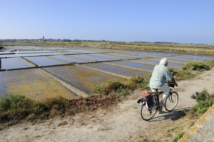 France, Loire-Atlantique (44), la Presqu'île de Guérande, les marais salants