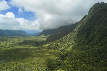 France, Ile de la Reunion, Parc National de la Réunion classé Patrimoine Mondial de l'UNESCO, La Plaine des Palmistes, la forêt de Bébour (vue aérienne)