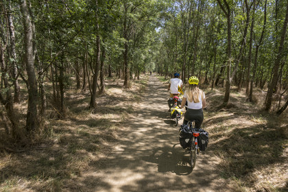 France, Maine-et-Loire, Loire valley listed as World Heritage by UNESCO, Dampierre to the east of Saumur, cycling along the banks of the Loire on the Loire à Vélo cycle path, bike with a trailer carrying camping equipment