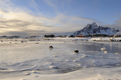 Norway, Nordland County, Lofoten Islands, landscape of a frozen bay in Winter on Vagan Island