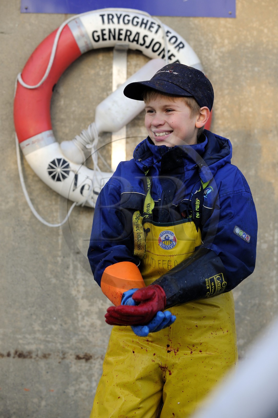 Norvège, Nordland, iles des Westeralen, port de Myre, jeune garçon se faisant de l'argent de poche en travaillant pour une usine de cabillaud