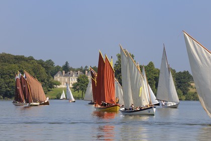 France, Loire-Atlantique (44), Nantes, Sucé-sur-Erdre, la rivière Erdre au niveau du château de Nay, rencontres de Yachting & Canotage de vieux gréments lors des RDV de l'Erdre