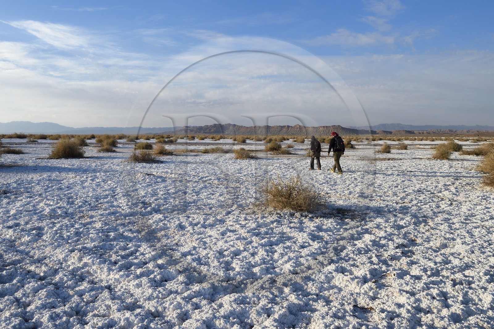 Iran, Province d'Ispahan, désert du Dasht-e Kavir, Khur, désert de sel qui émerge de la terre par capilarité après les pluies