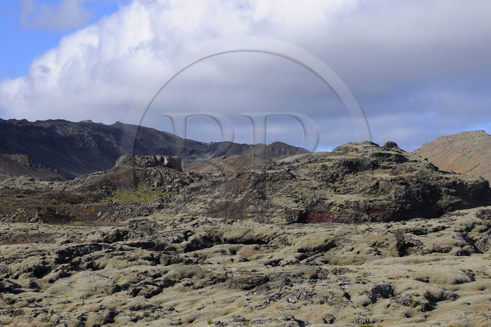 Islande, région de Reykjavik, champs de lave recouverts de mousse