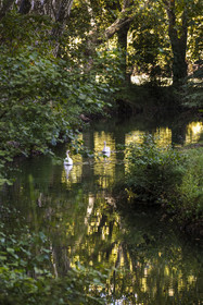 France, Gard, Uzès, Eure valley, the Alzon river parallel to the Roman aqueduct of Nimes