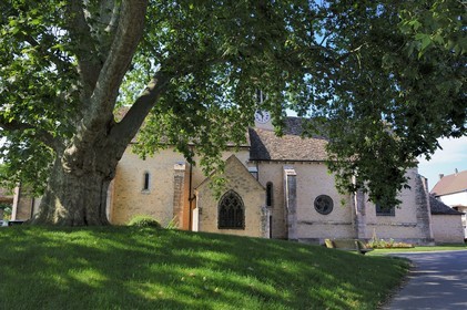France, Saône et Loire (71), Préty, l'église romane et son platane bicentenaire