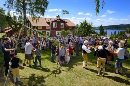 Suède, comté de Dalécarlie, région de Leksand, célébrations du solstice d'été dans le petit hameau de Sunnanäng sur la rive du lac Siljan, levée du mât de l'arbre de mai