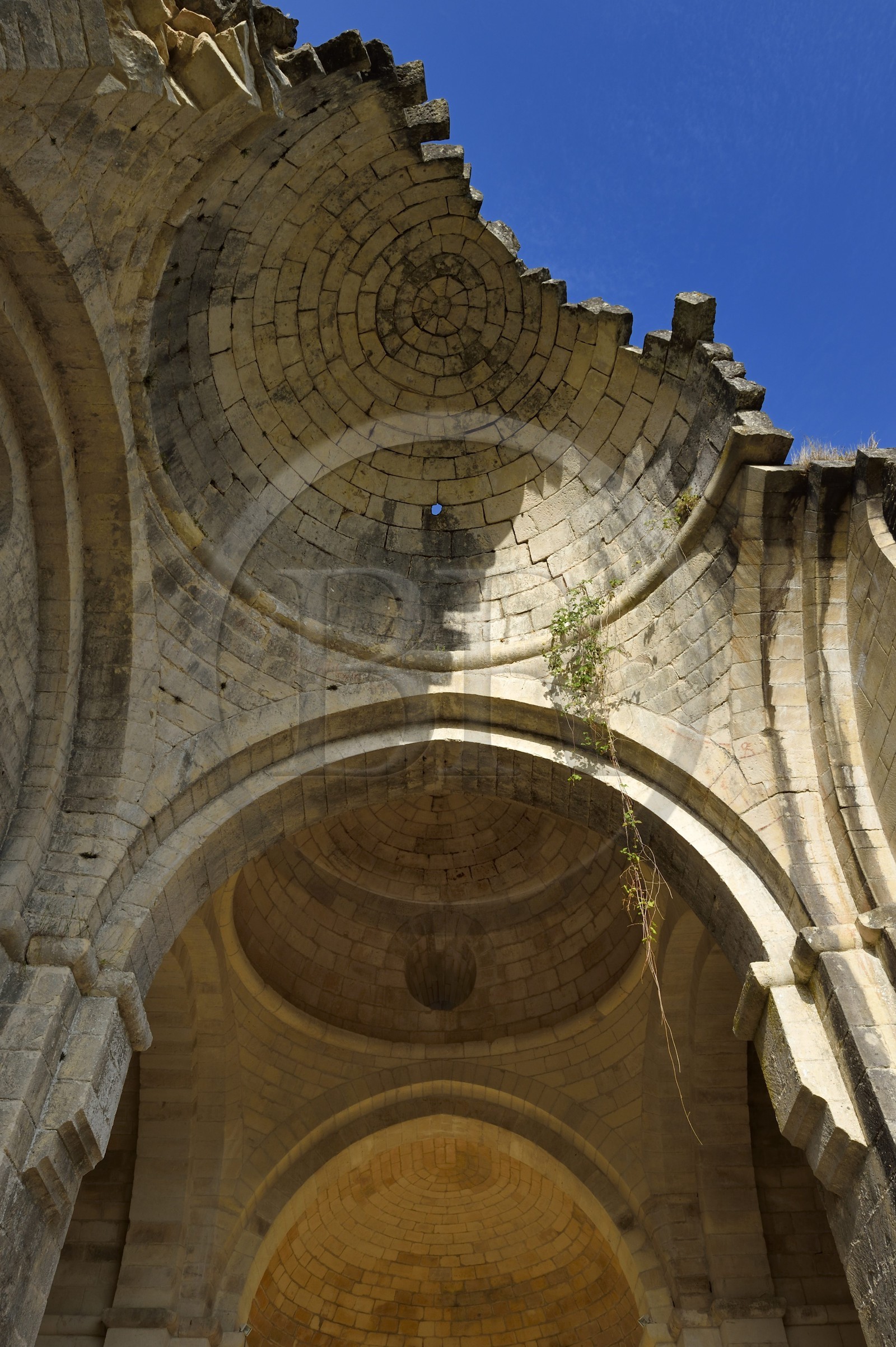 France, Dordogne (24), Périgord Vert, Villars, abbaye cistercienne de Boschaud du 12ème siècle qui dépendait de l'abbaye de Clairvaux, ruines de l'église abbatiale