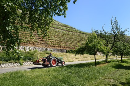 Germany, Baden-Wurttemberg, Durbach, tractor on a road along the vineyard