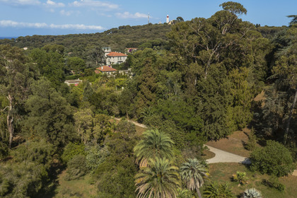 France, Alpes-Maritimes, Antibes, The Botanical Garden of Villa Thuret (attached to INRAE), labeled Jardin Remarquable (Outstanding Garden) and Remarkable Tree, and the Garoupe lighthouse in the background (aerial view)