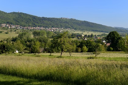 France, Bas-Rhin (67), Haegen, paysage champêtre avec en arrière plan le chateau du Haut-Barr