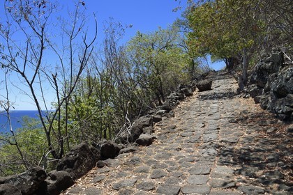 France, Ile de la Reunion, La Possession, le chemin Crémont aussi appelé chemin des Anglais, ancienne route pavé de basalte depuis 1775 qui longe le bord de la falaise de la cote nord-ouest devenu sentier de randonnée