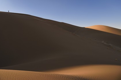 Iran, Yazd province, Dasht-e Kavir desert, Moghestan, hiking in the dune system which highest dune reaches 200 meters
