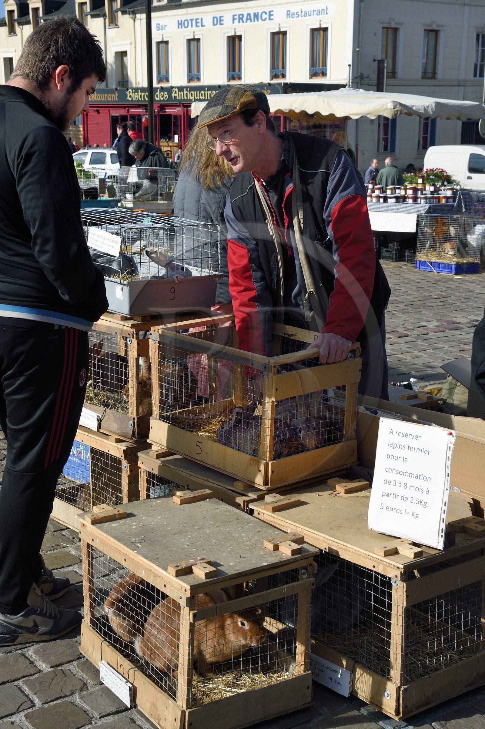 France, Calvados (14), Pays d'Auge, Saint-Pierre-sur-Dives, jour de marché devant les halles, l'éleveur Pierre-Alain vends ses lapins vivants