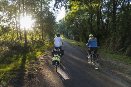 France, Maine-et-Loire, Loire valley listed as World Heritage by UNESCO, Saumur towards Saint-Hilaire, cycling along the banks of the Loire on the Loire à Vélo cycle path, bike with a trailer carrying camping equipment