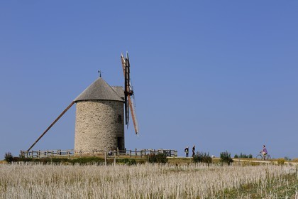 France, Manche (50), Baie du Mont-Saint-Michel, route des moulins, moulin à vent de Moidrey