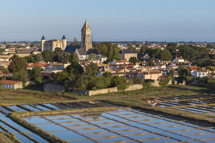France, Vendée (85), île de Noirmoutier, Noirmoutier-en-l'Ile, les marais du Müllembourg, le château médiéval et l'église Saint-Philbert en arrière plan (vue aérienne)