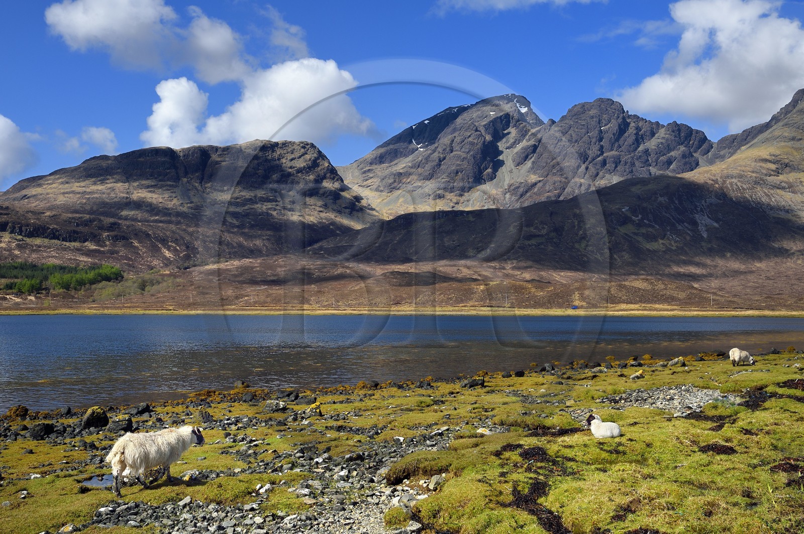 United Kingdom, Scotland, Highlands, Hebrides, Isle of Skye, Loch Slapin towards Torrin and the Red Cuillin Mountains