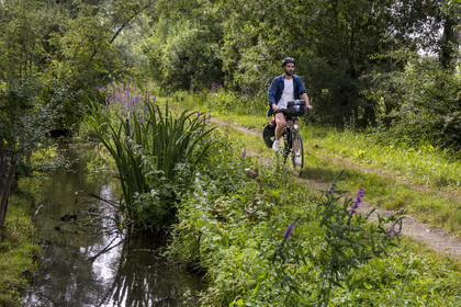 France, Deux-Sèvres, le Marais Poitevin, Green Venice, Le Vanneau-Irleau, bicycle journey along the canals