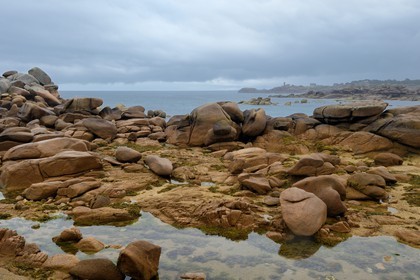 France, Cotes-d'Armor, Cote de Granit Rose (the Pink Granite coast), Tregastel, Renote island