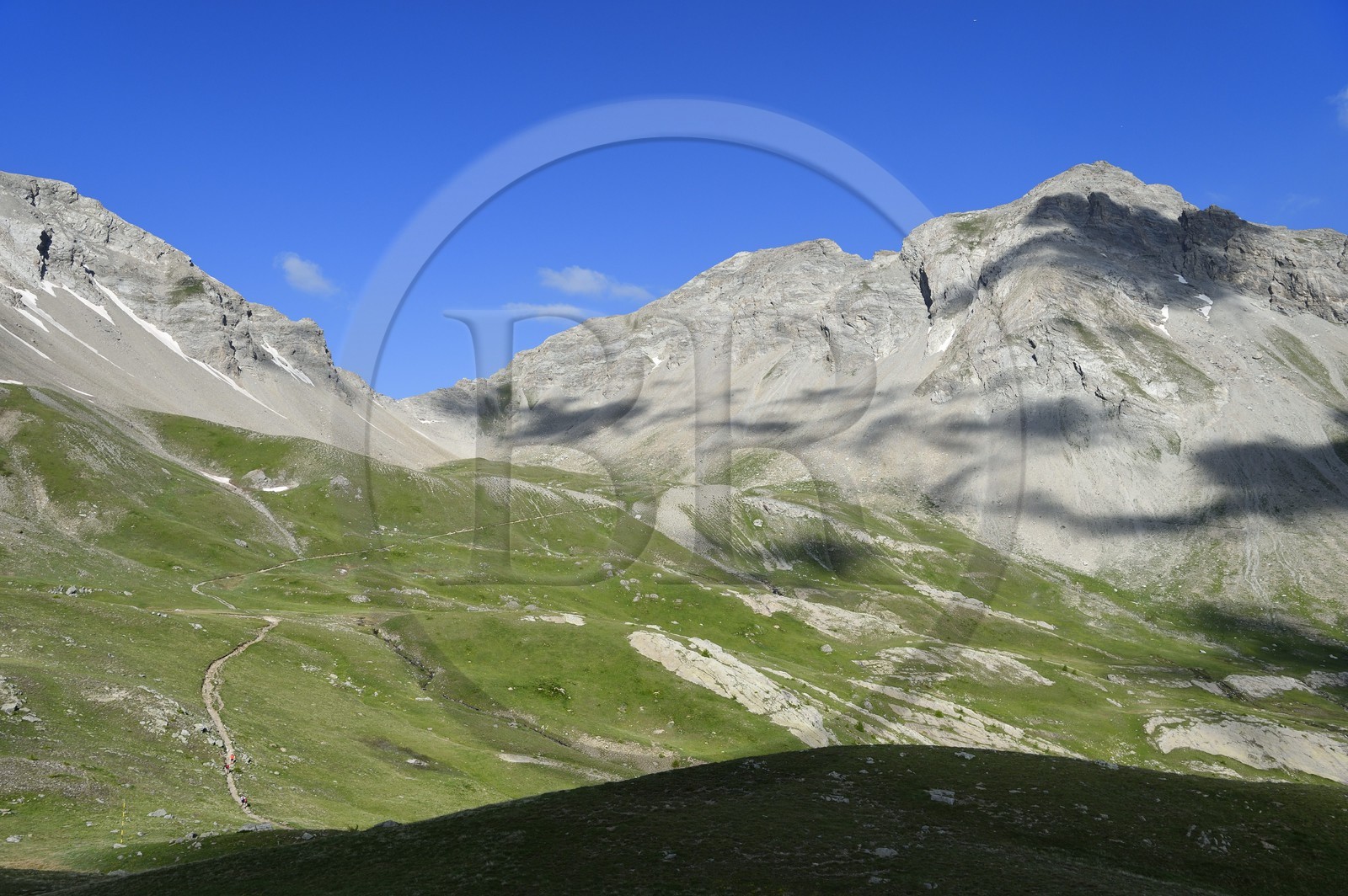 France, Alpes-de-Haute-Provence (04), Uvernet-Fours, parc national du Mercantour, vallée de l'Ubaye, col de la Cayolle (2326 m), sentier de randonnée qui grimpe à travers la pelouse alpine sur le circuit des lacs sous le sommet de la montagne du Trou de l’Aigle