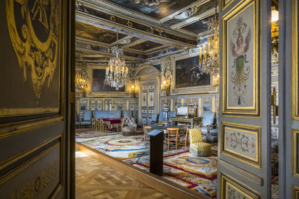 France, Seine-et-Marne, Fontainebleau, castle of Fontainebleau listed as World Heritage by UNESCO, Salon Louis XIII