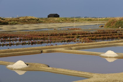 France, Loire-Atlantique (44), la Presqu'île de Guérande, tas de sel dans les marais salants