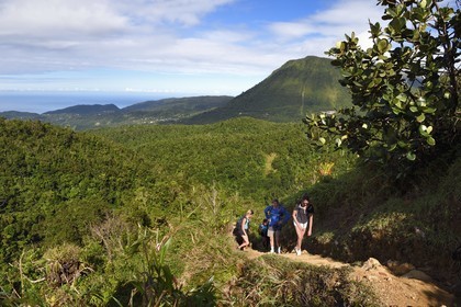 Caribbean, Dominica Island, Castle Bruce, Morne Trois Pitons National Park listed as World heritage by UNESCO, hikers on the trail leading through the rainforest to the Desolation Valley and then to Boiling Lake