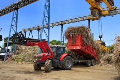 France, Ile de la Reunion, Saint-Joseph, un des 11 centres de réception et de collecte de la canne à sucre aussi appelés Balance, les tracteurs amènent depuis les champs la canne dans des remorques, elle est ensuite pesée et chargée dans de grand camions appelés cachalots pour être acheminée vers l'usine sucrière du Gol